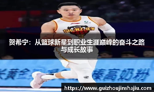 贺希宁：从篮球新星到职业生涯巅峰的奋斗之路与成长故事