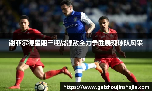 谢菲尔德星期三迎战强敌全力争胜展现球队风采