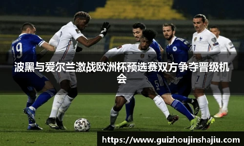 波黑与爱尔兰激战欧洲杯预选赛双方争夺晋级机会