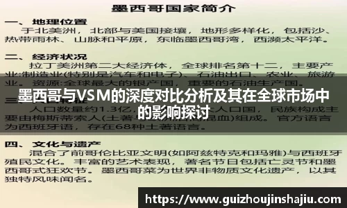 墨西哥与VSM的深度对比分析及其在全球市场中的影响探讨